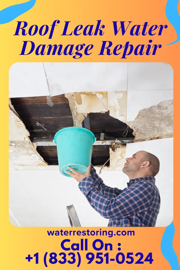 Roof Leak Water Damage Repair in Mankato, KS