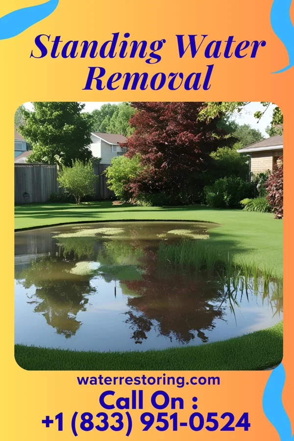 Standing Water Removal in Mankato, KS